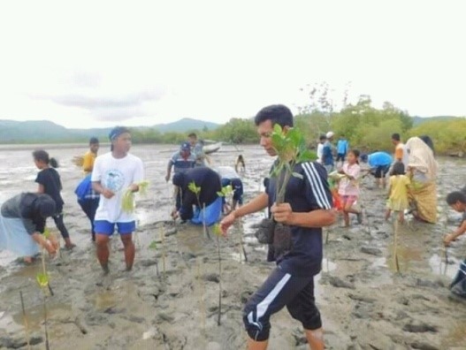 Program penanaman mangrove We SAVE Indonesia